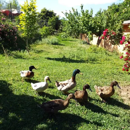 Frallarenza Apartmán Ficulle