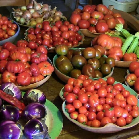 Frallarenza * Ficulle