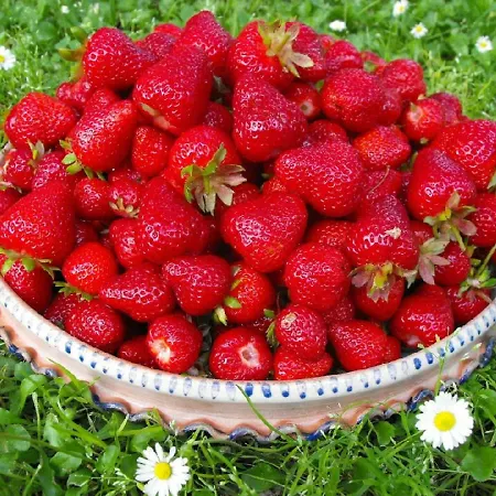 Frallarenza Appartement Ficulle