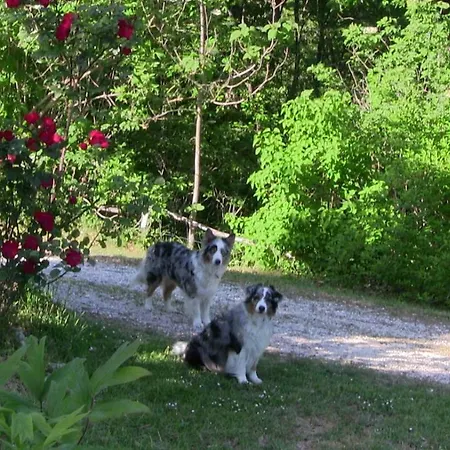 Apartmán Frallarenza