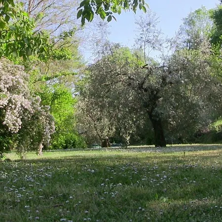 Frallarenza Appartement *