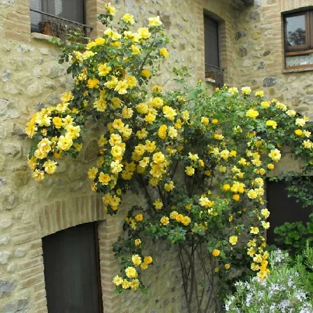 Frallarenza Appartement