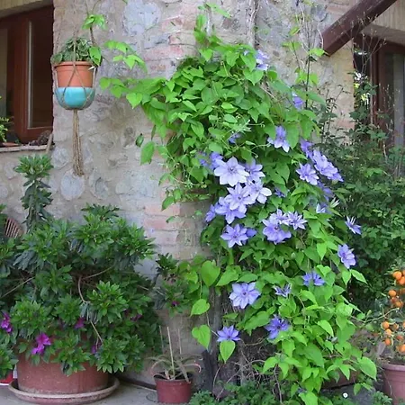 Appartement Frallarenza Ficulle